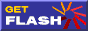 Get Flash Plug-in
